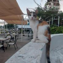 фото из отзыва ID 2732049