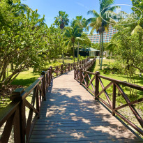 фото из отзыва ID 2732067