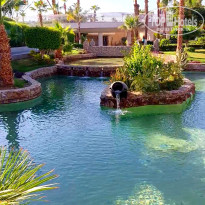 фото из отзыва ID 2732079