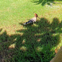 фото из отзыва ID 2732079