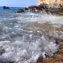 фото из отзыва ID 2732079