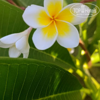 фото из отзыва ID 2732079