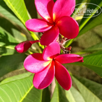 фото из отзыва ID 2732079