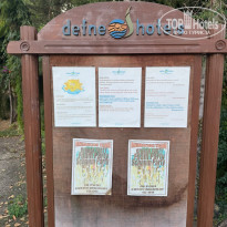 фото из отзыва ID 2732107