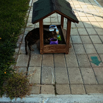 фото из отзыва ID 2732122