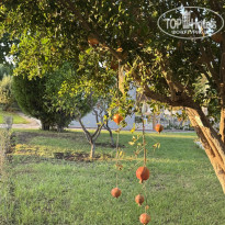 фото из отзыва ID 2732123