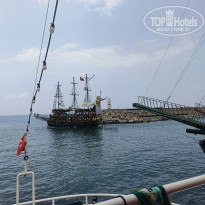 фото из отзыва ID 2732132