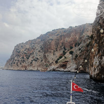 фото из отзыва ID 2732132