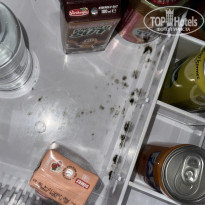 фото из отзыва ID 2732210