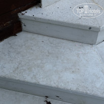 фото из отзыва ID 2732210