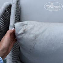 фото из отзыва ID 2732210