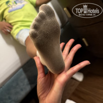 фото из отзыва ID 2732210