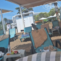 фото из отзыва ID 2732238