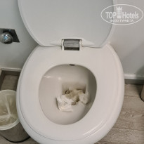 фото из отзыва ID 2732254