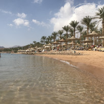 фото из отзыва ID 2732264