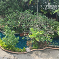 фото из отзыва ID 2732271