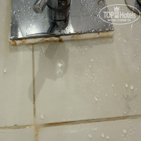 фото из отзыва ID 2732304