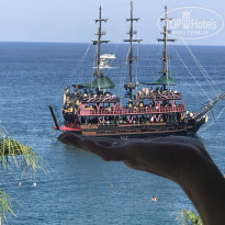 фото из отзыва ID 2732305