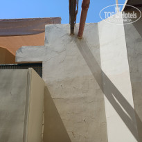 фото из отзыва ID 2732290