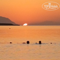 фото из отзыва ID 2732290