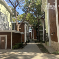 фото из отзыва ID 2732319