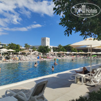 фото из отзыва ID 2732327