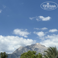 фото из отзыва ID 2732326