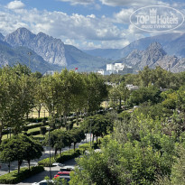 фото из отзыва ID 2732352