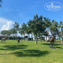 фото из отзыва ID 2732392