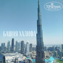 фото из отзыва ID 2732401