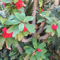 фото из отзыва ID 2732412