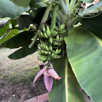 фото из отзыва ID 2732413