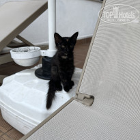 фото из отзыва ID 2732413