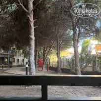 фото из отзыва ID 2732418