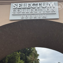 фото из отзыва ID 2732418