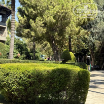 фото из отзыва ID 2732424