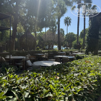 фото из отзыва ID 2732424