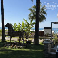 фото из отзыва ID 2732424