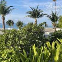 фото из отзыва ID 2732425