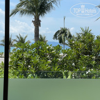 фото из отзыва ID 2732425