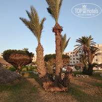 фото из отзыва ID 2732423