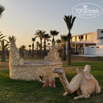 фото из отзыва ID 2732423