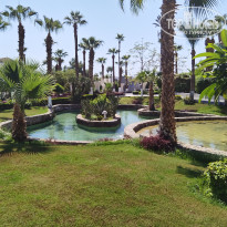 фото из отзыва ID 2732466