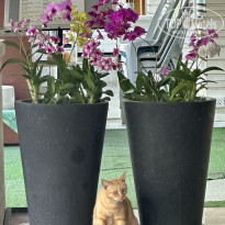 фото из отзыва ID 2732474