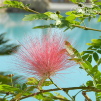 фото из отзыва ID 2732479