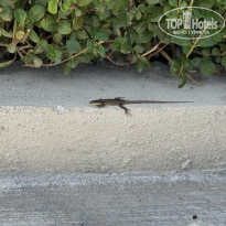 фото из отзыва ID 2732483