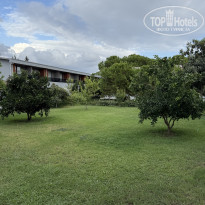 фото из отзыва ID 2732483