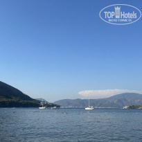 фото из отзыва ID 2732498