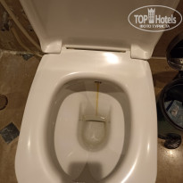 фото из отзыва ID 2730270