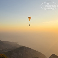 фото из отзыва ID 2732508